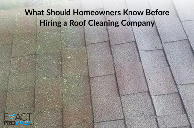 Professional Roof cleaning company in Ohio removing moss and algae from an asphalt shingle roof