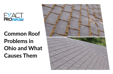 Professional roof inspection technician identifying common Ohio roof problems including ice dams, moss growth, clogged gutters, and weather damage